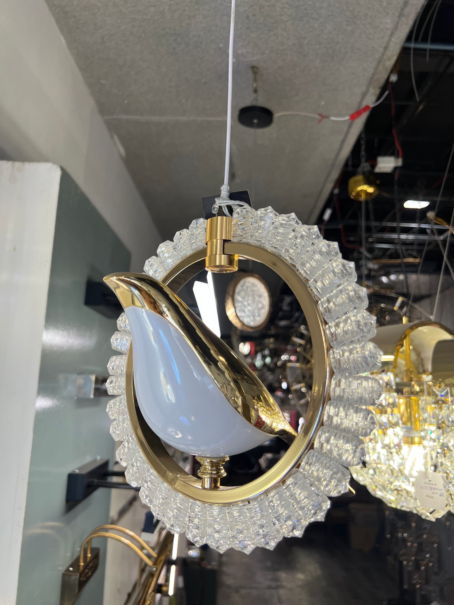 Acrylic Bird Halo Pendant Light
