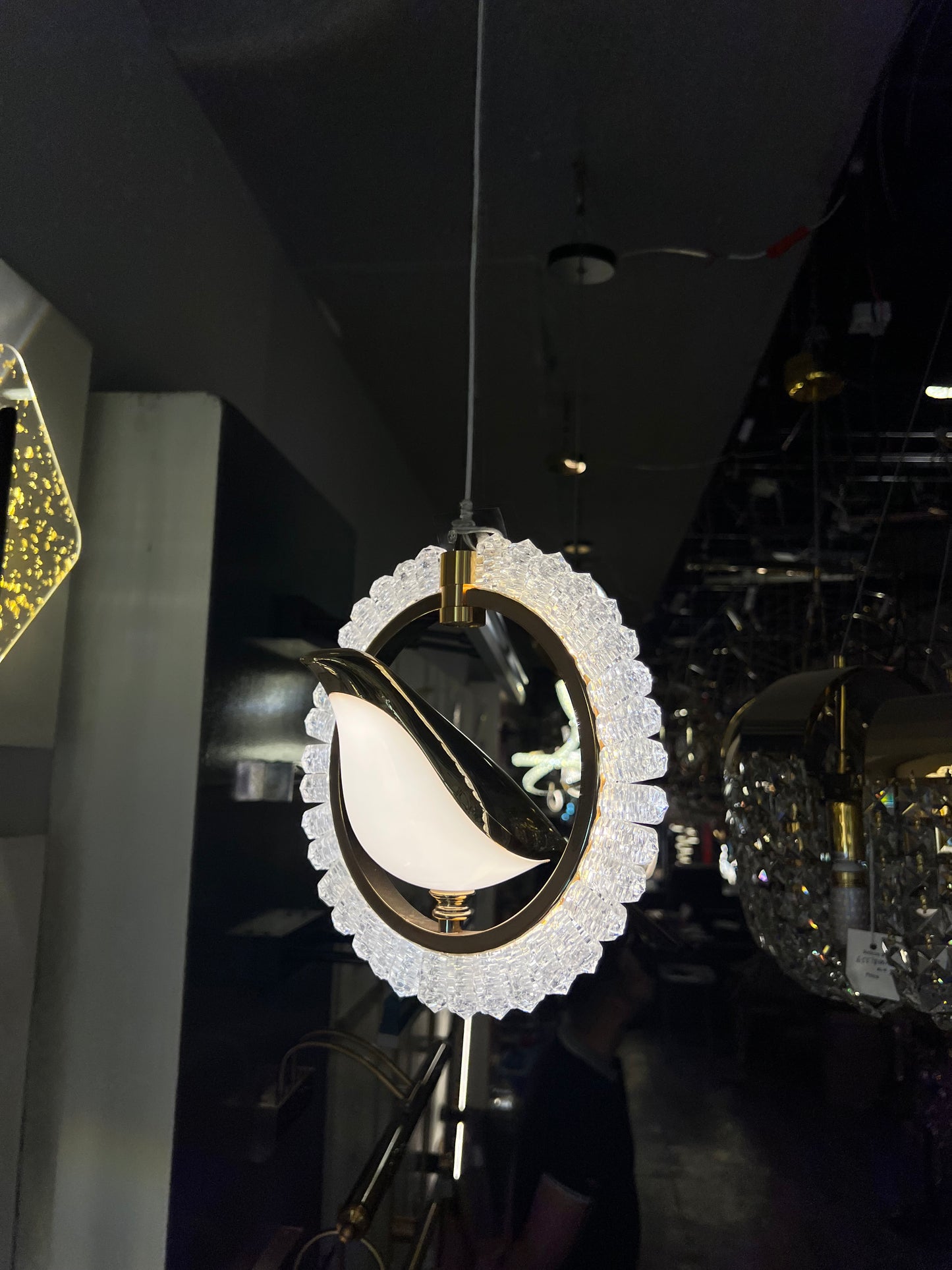 Acrylic Bird Halo Pendant Light